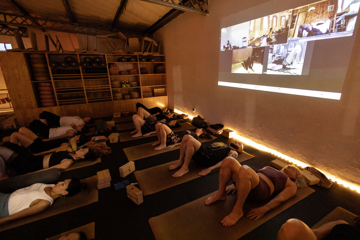 Vinyasa Flow Yoga
