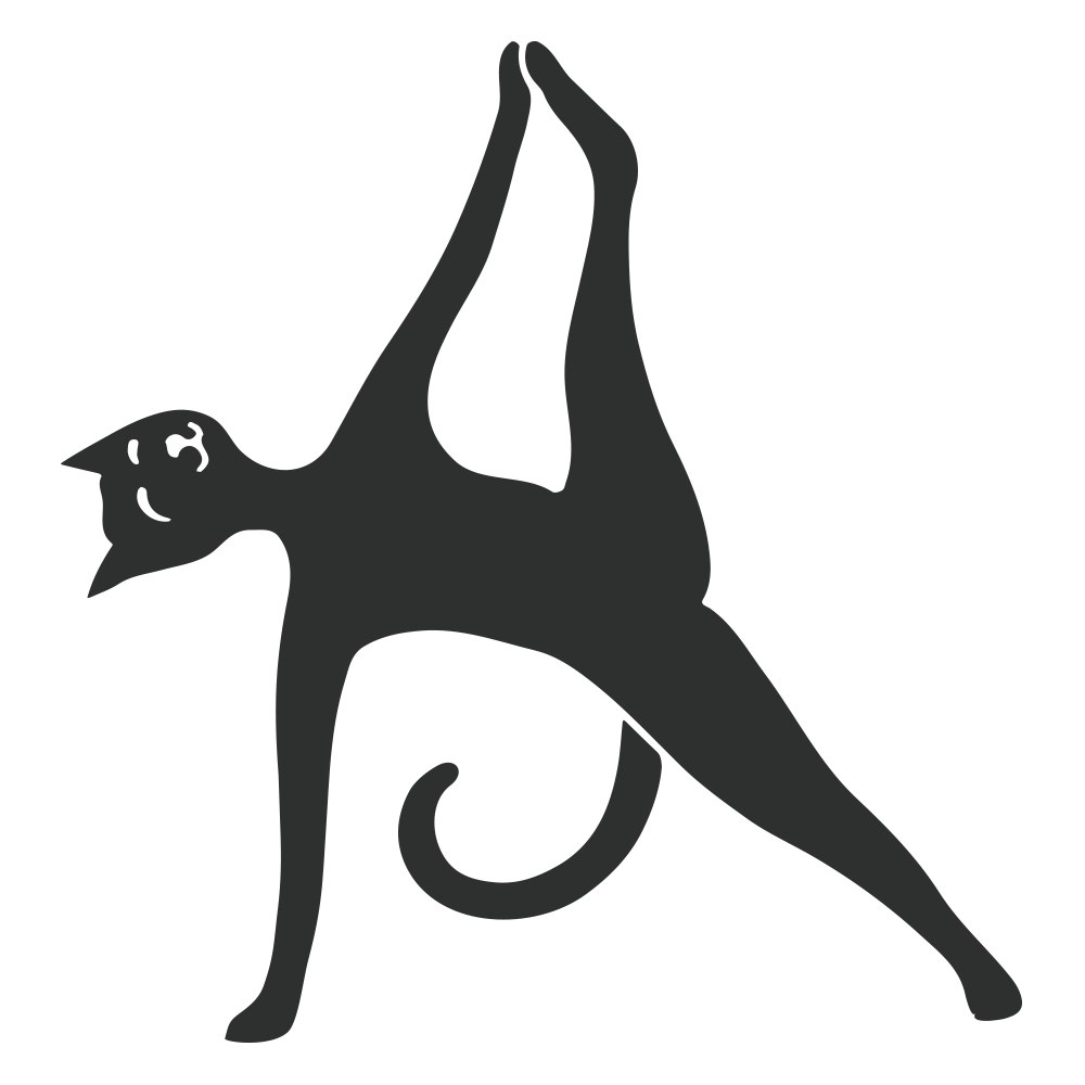 Vinyasa Flow